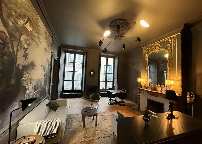 Luxueux 2 Pieces 65M2 Hotel Particulier XVII Ieme Siecle-Centre Historique Clermont-Ferrand